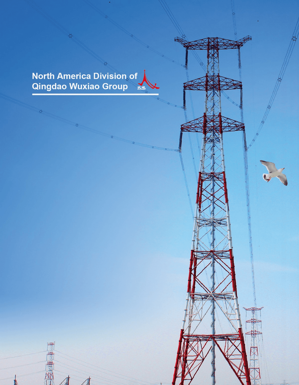 HANS STEEL brochure page 2